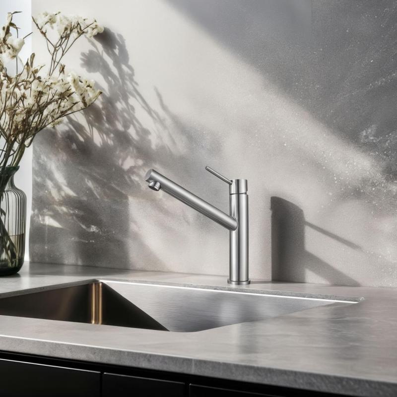 Franke Orbit rubinetto da cucina alto in acciaio inossidabile massiccio con beccuccio girevole inox 115.0600.928