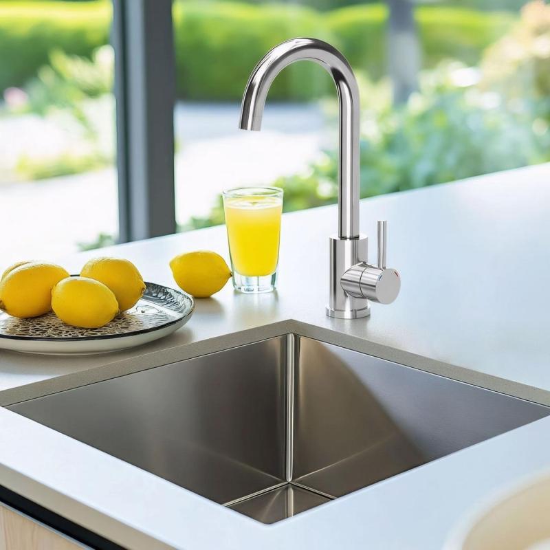 Quadri Coventry Miscelatore da cucina cromo con beccuccio girevole 1208956031