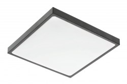 ALTAR LED Plafoniera, 295x295mm, 4000K, 24W, 1680lm, AC180-250V, 50/60 Hz, PF>0.5, IP54, nero, 3 anni di garanzia.
