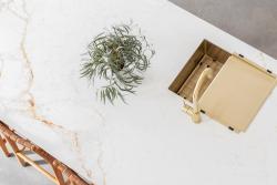 Pure.Sink Exclusivo Vassoio sgocciolatoio mobile dorato, 440x335 mm, per lavello PEXTRAY-60